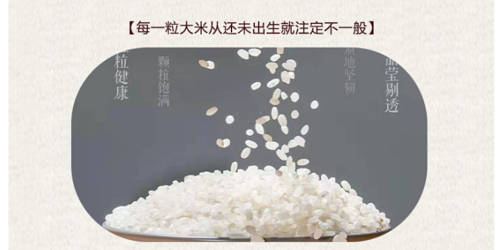 江蘇批發葡聚糖大米品質,葡聚糖大米