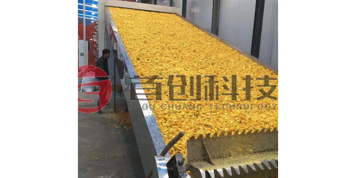 北京枳殼帶式干燥設備生產廠家,帶式干燥設備