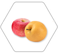 苹果醋发酵的常见工艺