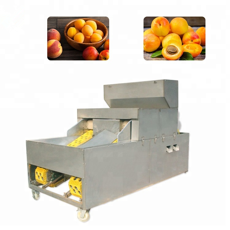 桃、杏、李汁加工生产线