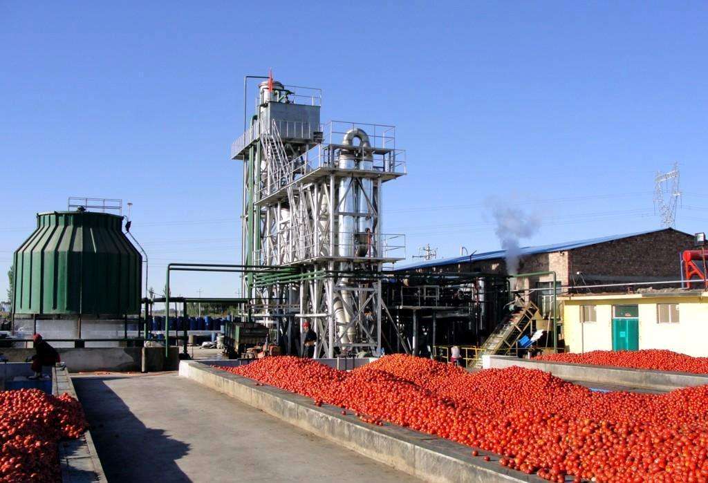 番茄汁加工生产线
