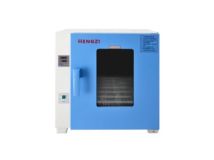 電熱恒溫鼓風干燥箱HGZF-101