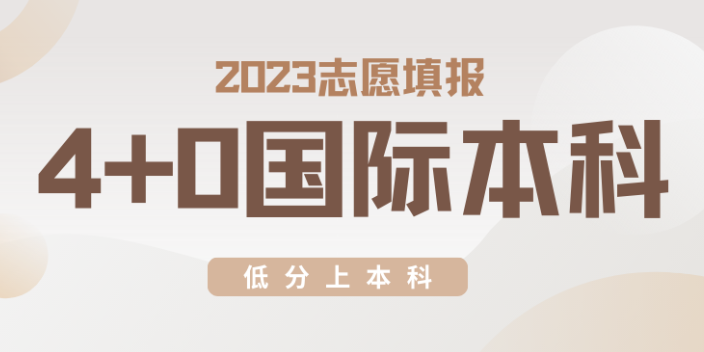 河北國際本科培訓學校,國際本科