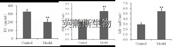 图片2_wm.jpg