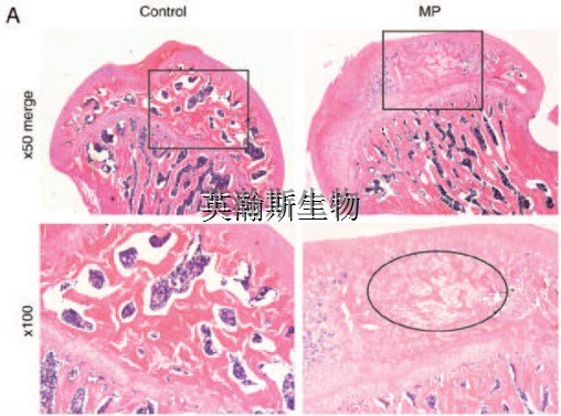 图片2_wm.jpg