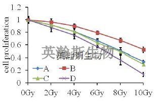 MTT检测