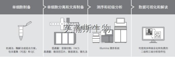 单细胞测序