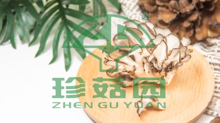 苏州新鲜灰树花批发价格,灰树花