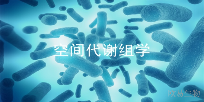 河南深度空间代谢组学是靶向代谢组吗,空间代谢组学