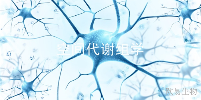 河南深度空间代谢组学是靶向代谢组吗,空间代谢组学