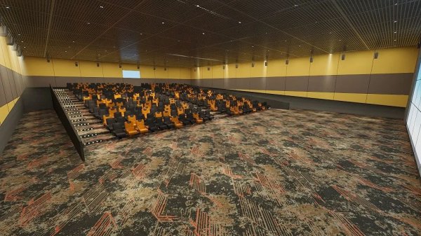 电影院定制地毯
