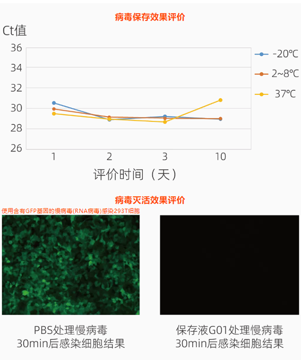 官网1.png