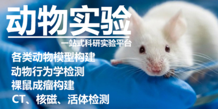 山東高質量臨床前動物實驗是什么,臨床前動物實驗
