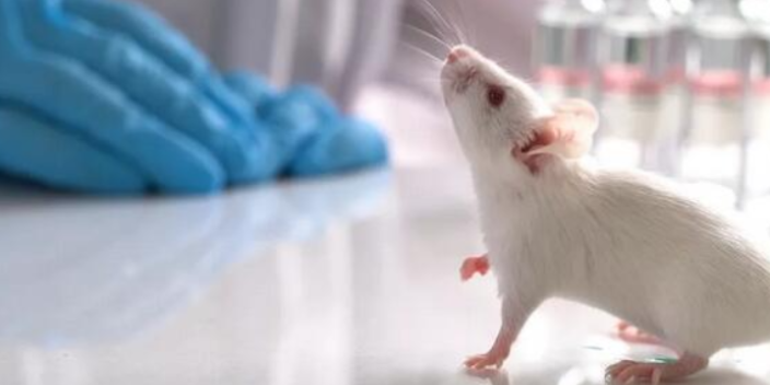 廣東比較好的動物實驗外包外包,動物實驗外包