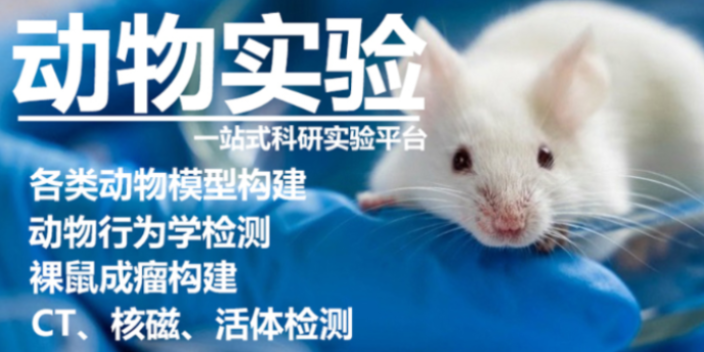 江蘇結果客觀的動物實驗外包實驗室,動物實驗外包