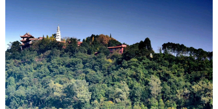 崇州公墓,公墓