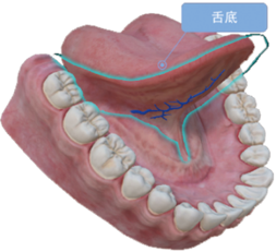 3D舌诊虚拟实训教学系统