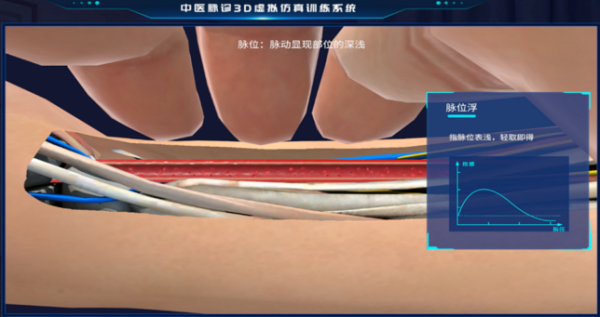 3D脉诊虚拟实训教学系统