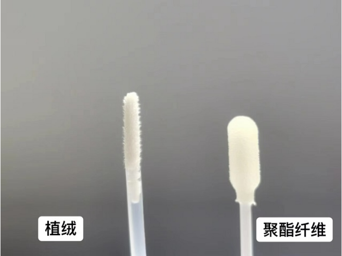 進口TSB拭子棉簽一般多少錢,拭子