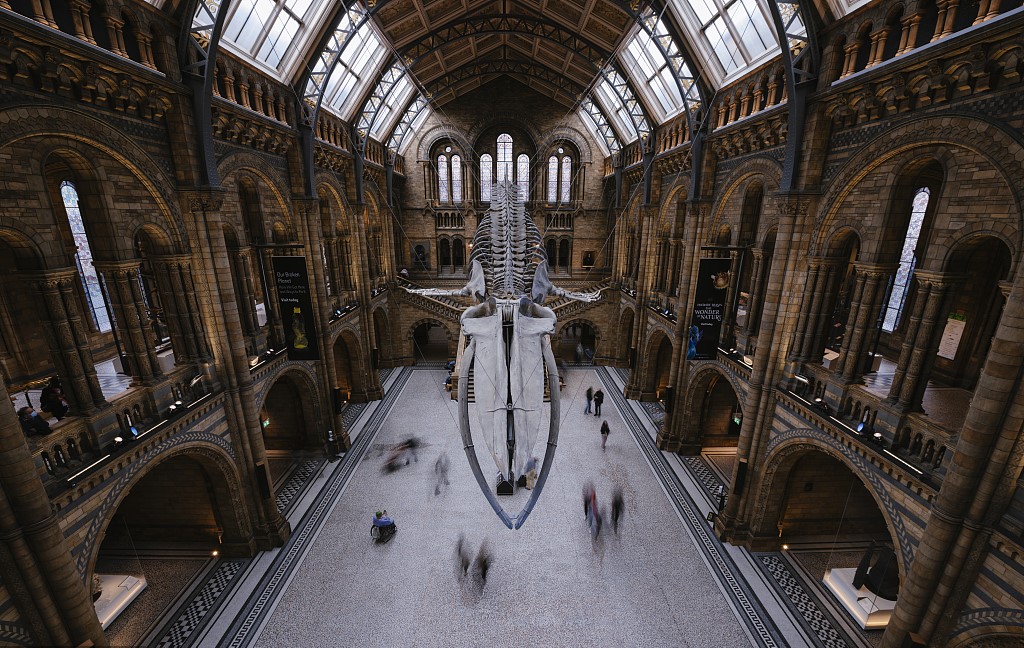 VCG211356788435.jpg
