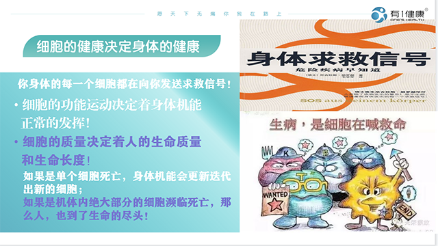 上海國產細胞光熱儀招商加盟,細胞光熱儀