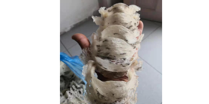 清遠散裝干燕窩批發商家,干燕窩