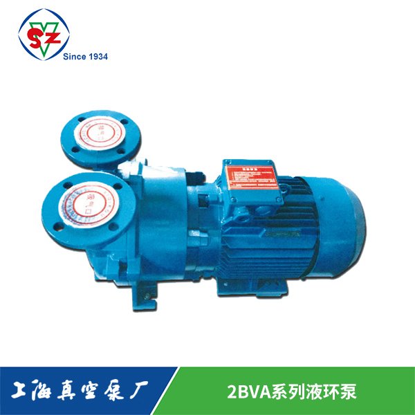 2BVA系列液環泵