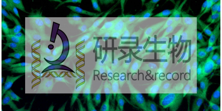 上海小鼠原代細胞技術,原代細胞