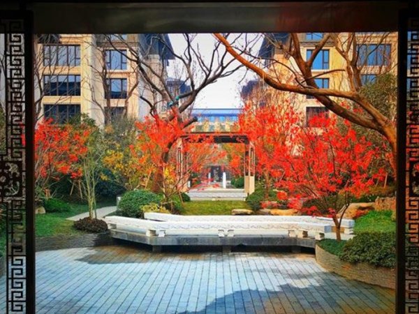庭院景观设计与建造