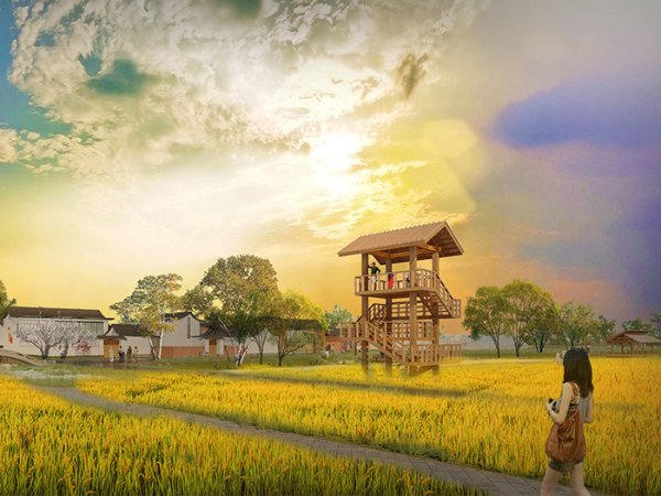 乡村振兴设计与建造