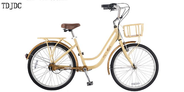 廣東無鏈條自行車品牌,無鏈條自行車