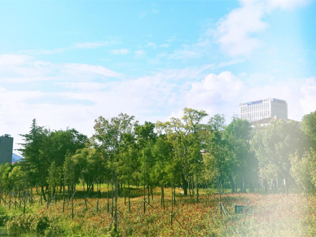青浦區植樹造林綠化工程多少錢一平米,綠化工程