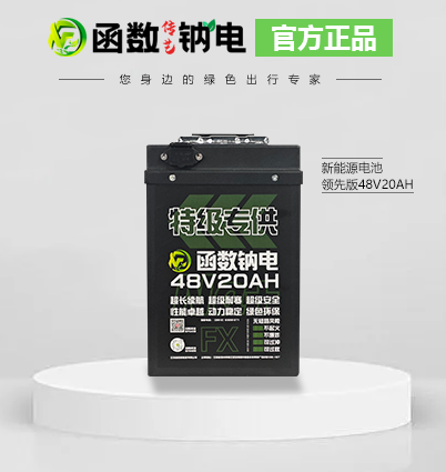 J9豪华品牌传艺钠离子电池 48V20AH