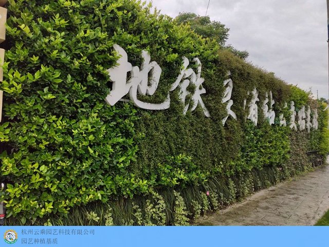 北京垂直种植墙公司