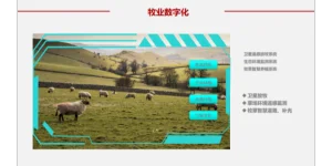 新疆設計智慧農田建設技術 滴翠智能科技供應