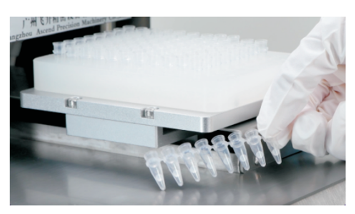 江苏PCR试剂冻干微球价格,冻干微球