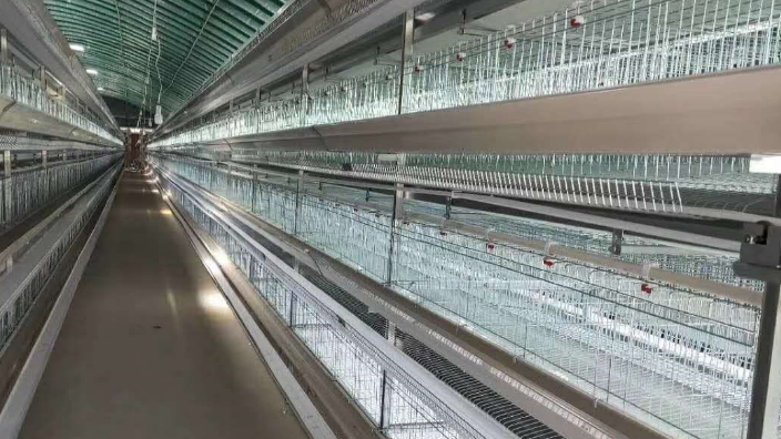 河南大型养鸡鸡笼视频 河南凤银牧业养殖设备供应