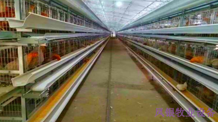 安徽阶梯式蛋鸡笼 河南凤银牧业养殖设备供应