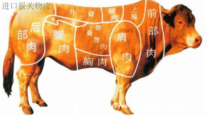 上海实力的牛肉进口报关手续及费用,牛肉进口报关