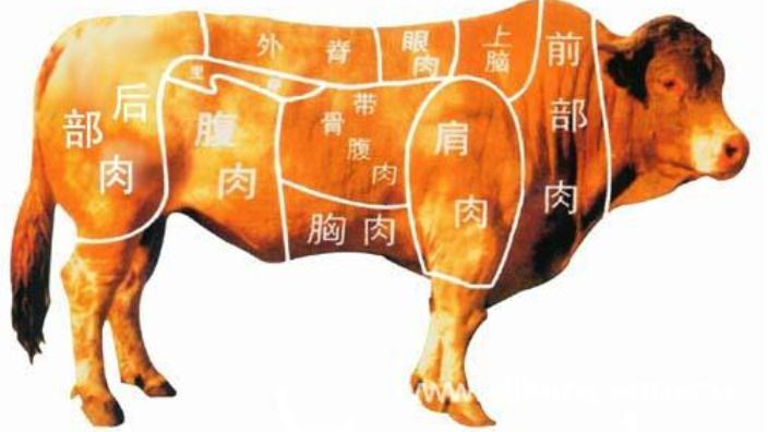 上海服务好的牛肉进口报关资料 报关物流 万享报关供应;
