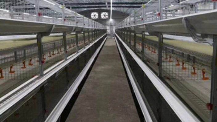 焦作养鸡设备配件 河南凤银牧业养殖设备供应