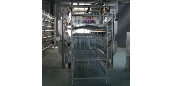 郑州养殖喂料设备生产厂家 西平牧丰农牧设备供应;