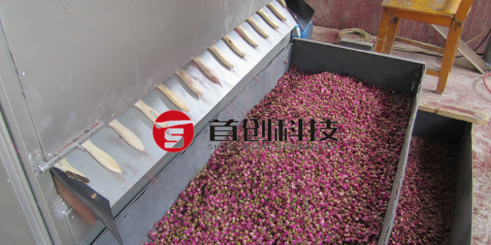 工业油茶果干燥机批发厂家