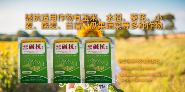 石嘴山抗旱碱抗生产厂家 信息推荐 宁夏五丰农业科技供应