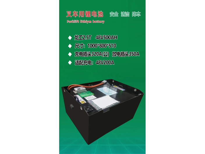 上海电动观光车锂电池批发