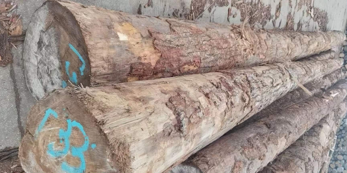 浙江加拿大鐵杉木材價格,加拿大鐵杉