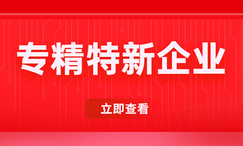 2022年惠州市級(jí)專(zhuān)精特新（創(chuàng)新型中小企業(yè)）認(rèn)定申報(bào)指南