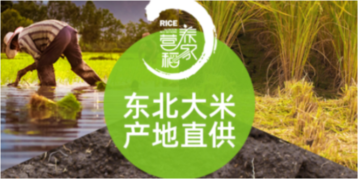 青岛营养稻家五常有机米跨店满减