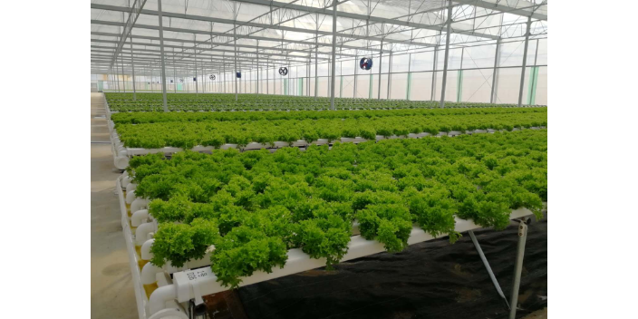 上海番茄無土栽培管道設備 江蘇榮誠農業科技供應