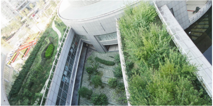 空氣植物墻 信息推薦 上海海納邇氧森態科技供應
